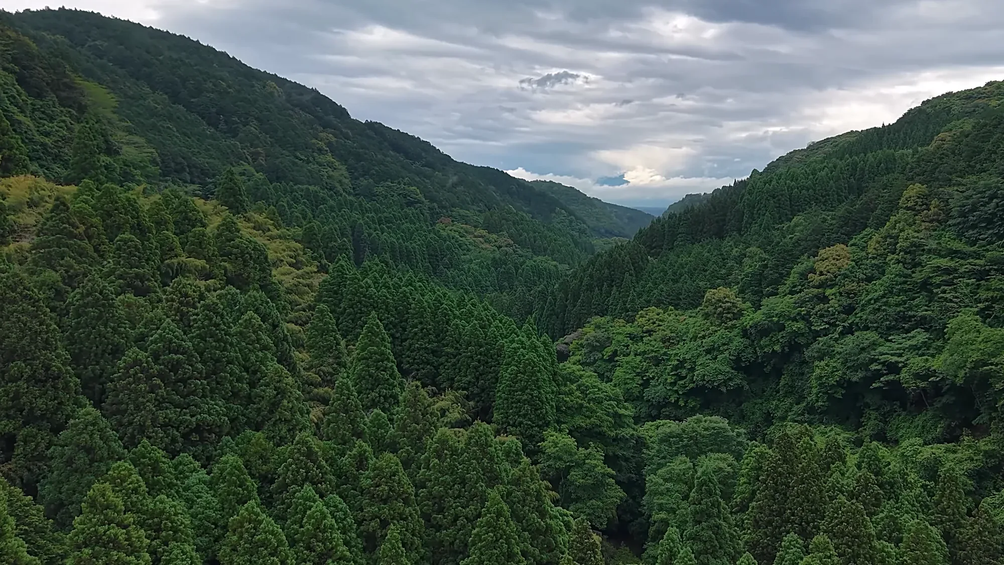 The forested valley around Kurokawa Onsen under low cloud
