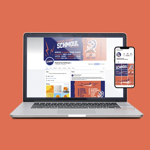 Réseaux sociaux de la 20e édition du Festival du Schmoul