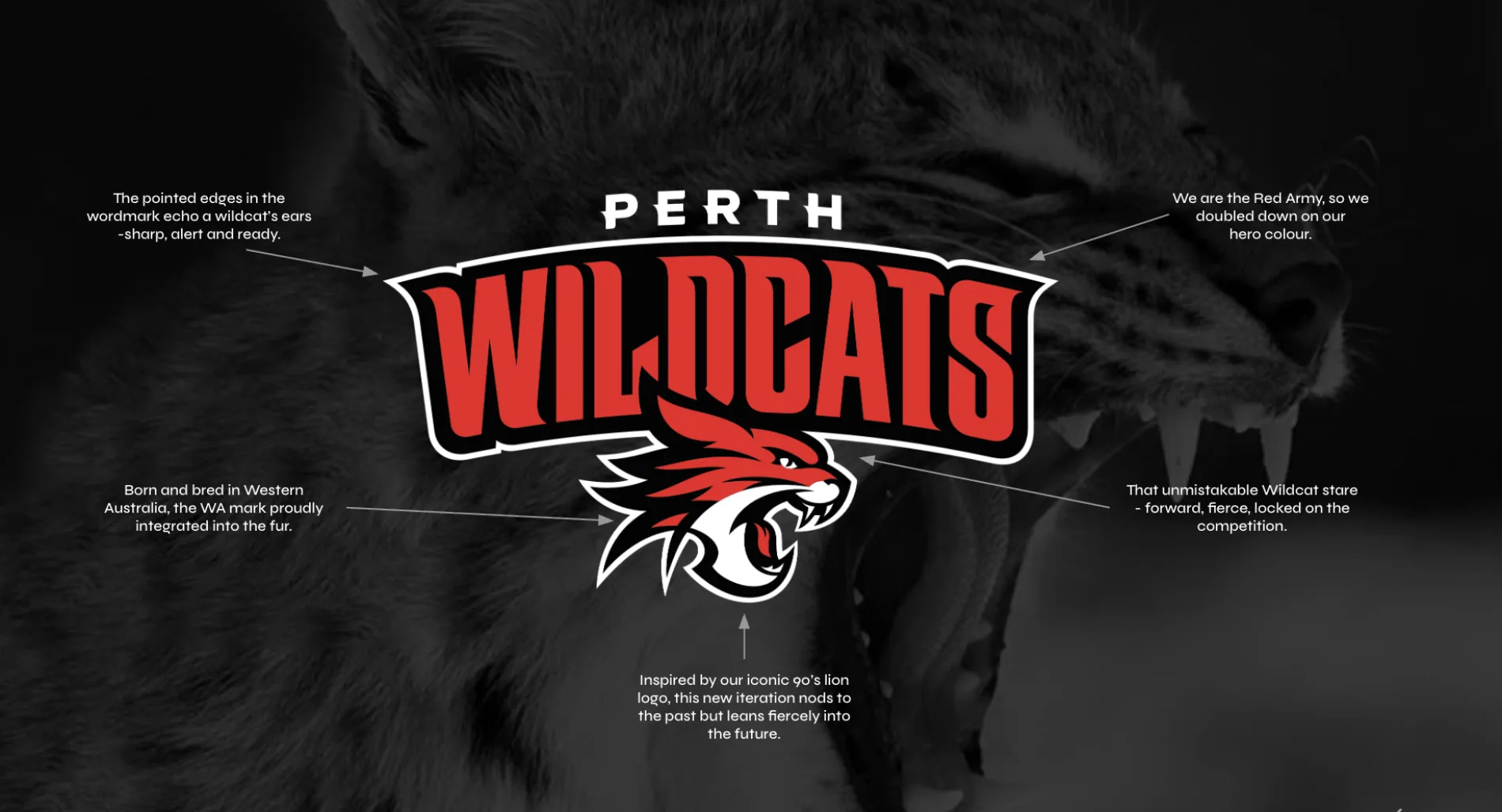 Diagram showing the strategic thinking and design details within the modernised Perth Wildcats logo
