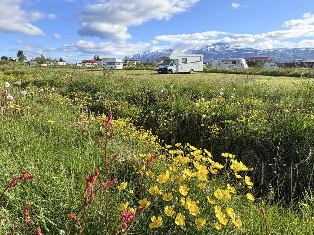 A campervan parked at a grassy campsite area near the water with a mountain view.