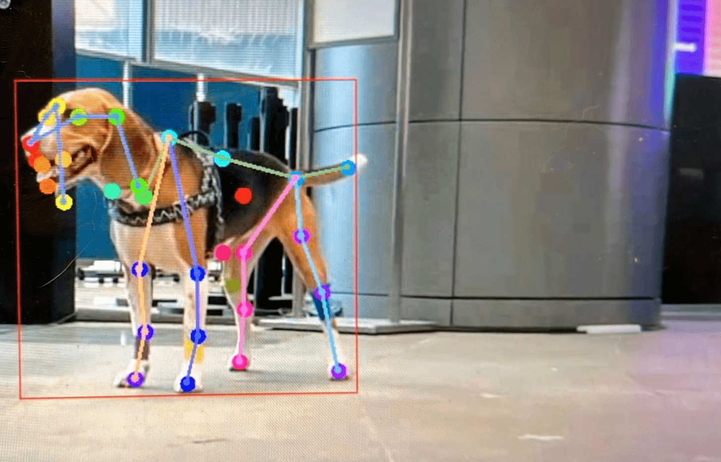 BOO AI gait analysis