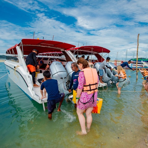 Tan & Pig Islands: Guided Speedboat Tour from Koh Samui + Pink Dolphin Spotting