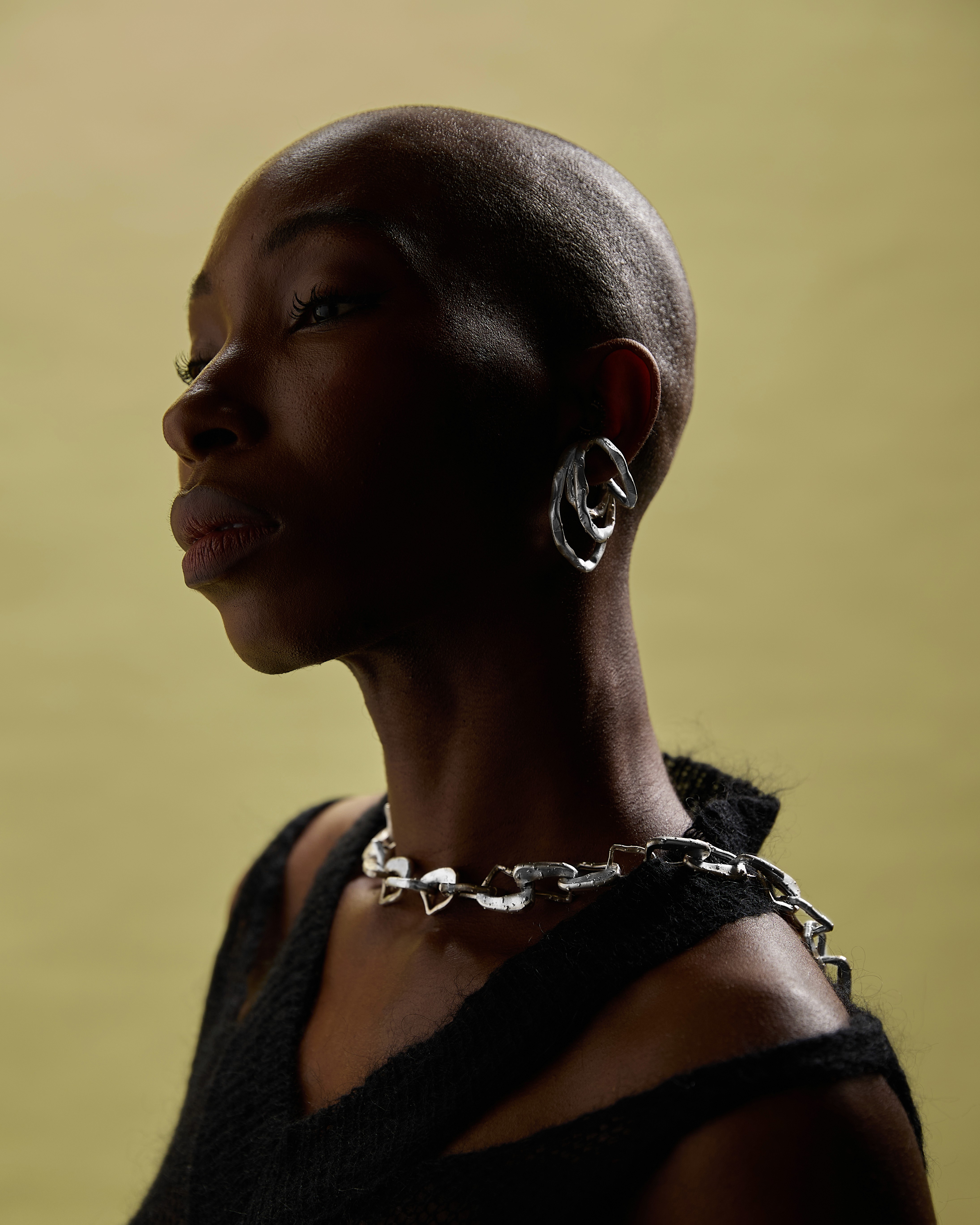 Large Project Gallery Image #1