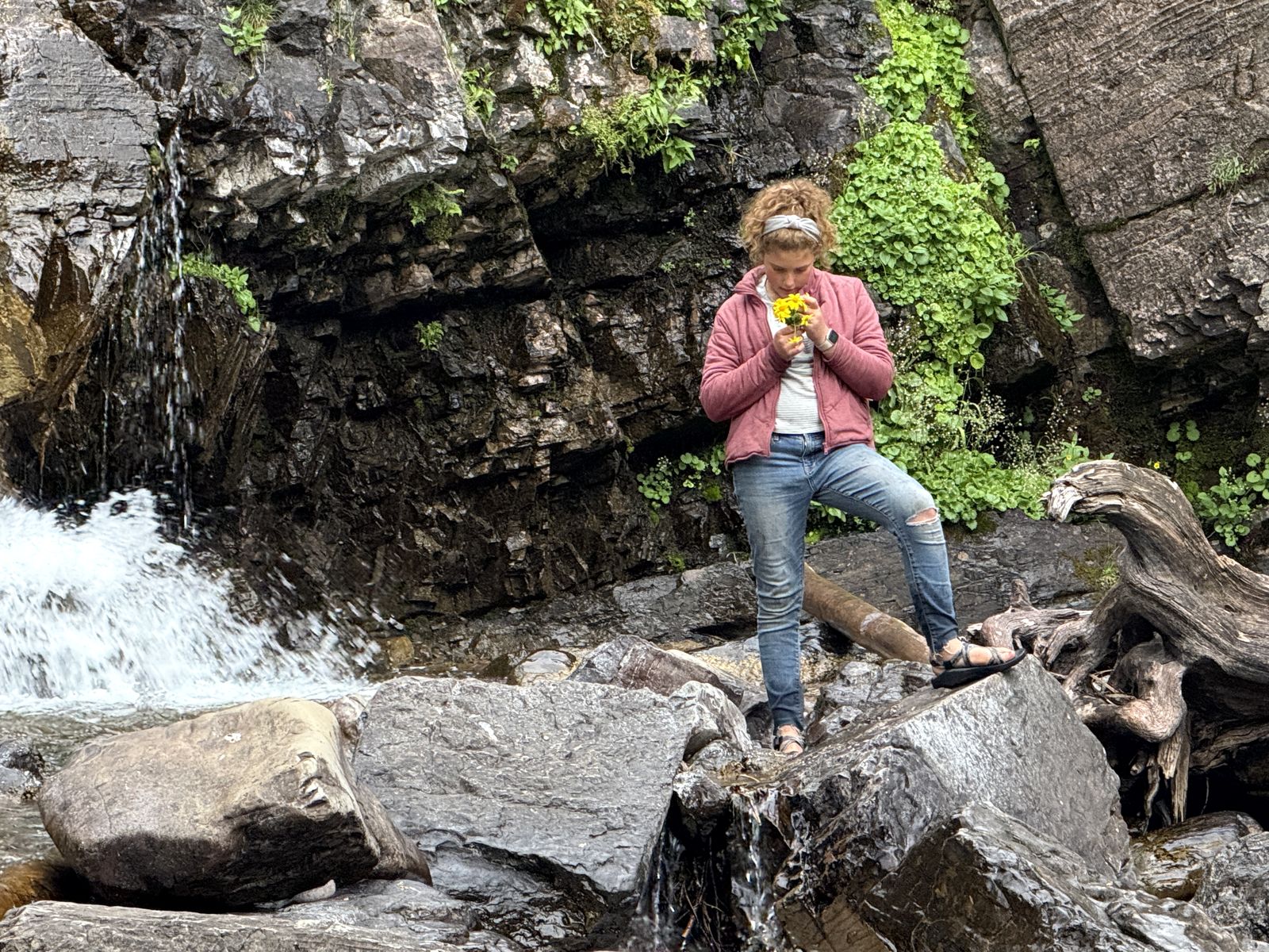 Picking wildflowers on the Morrell Falls trail near Seeley Lake