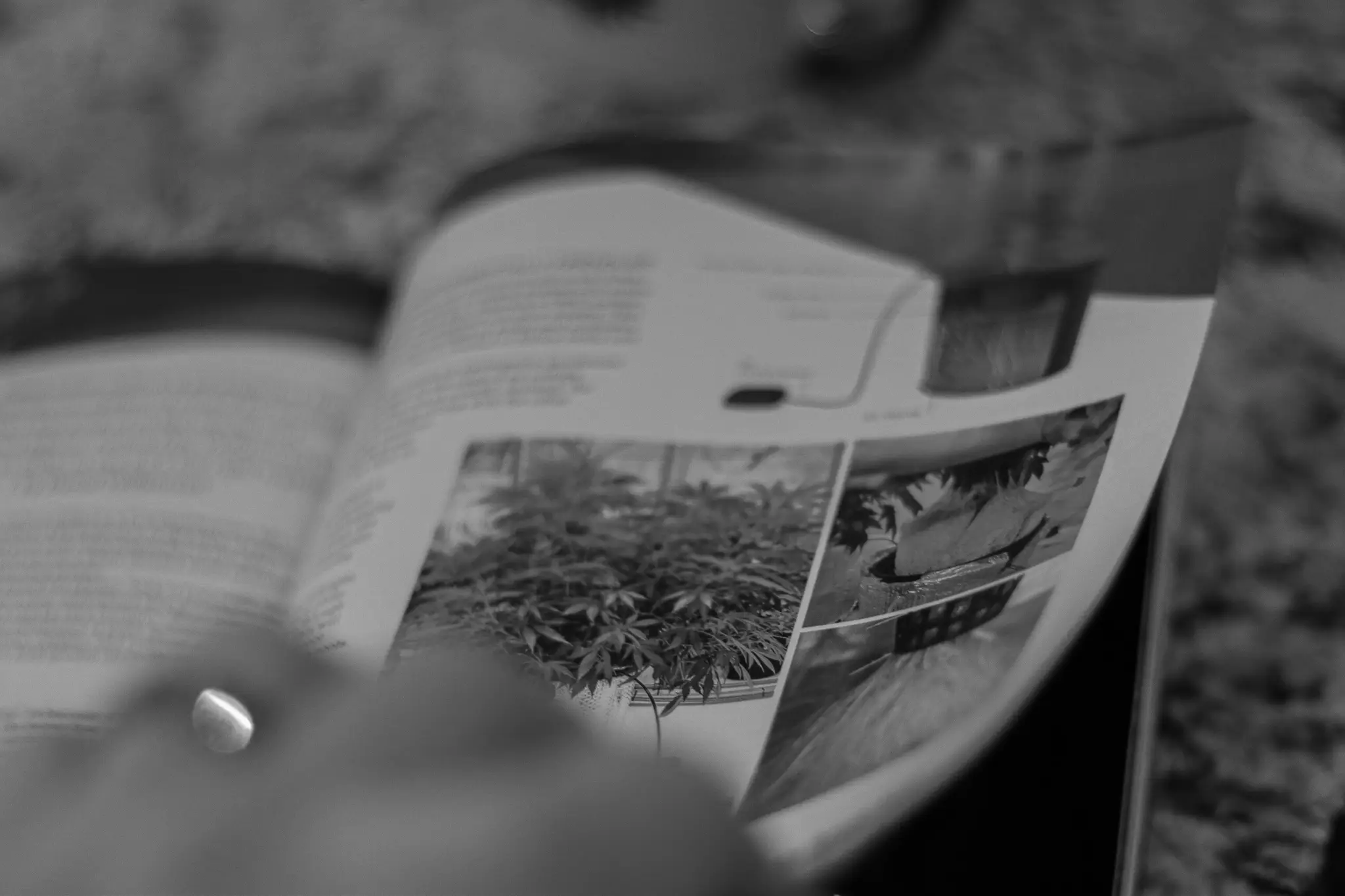 man turning page of maximum yield magazine article written by Daniel Vaillancourt