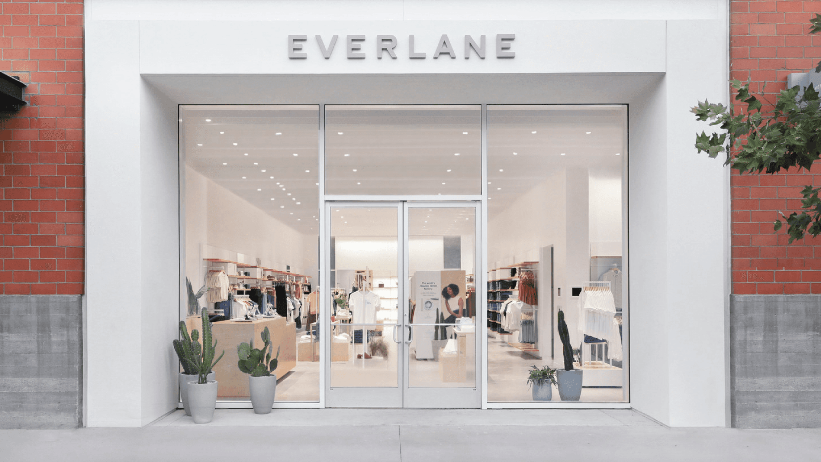Everlane store front image
