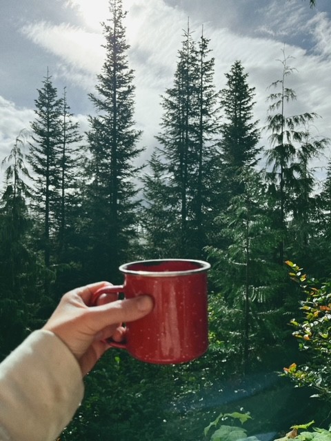 The image featured in the middle of the about us page