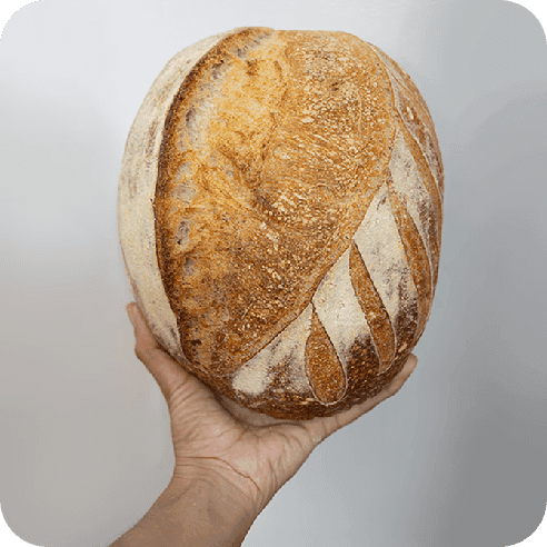 Hogaza de pan de masa madre sostenida en mano, recién horneada por Horneology