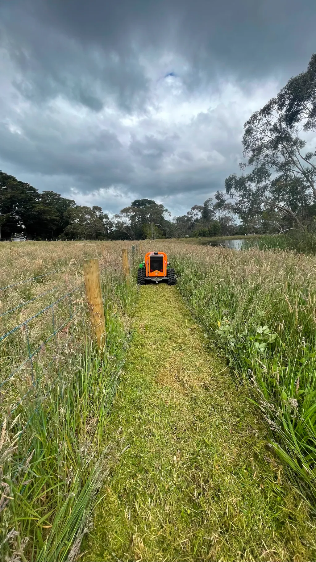 Clearing overgrowth along a fenceline for better accessibility