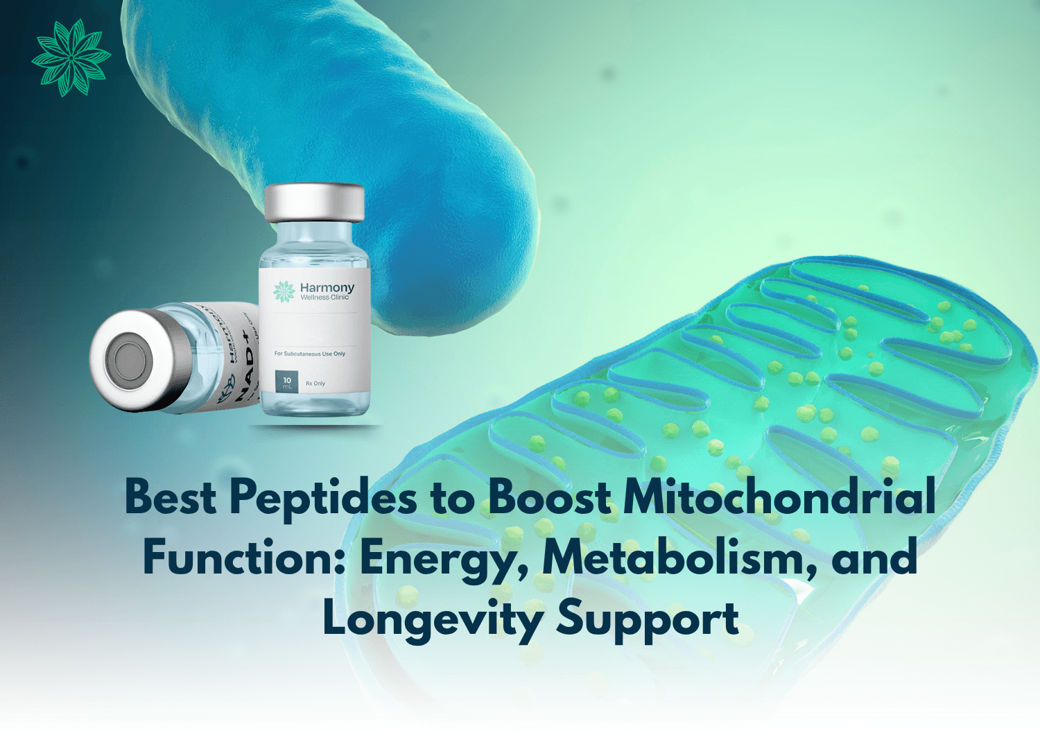 Medical provider explaining mitochondrial peptide therapy options for energy and metabolism during a virtual consultation.