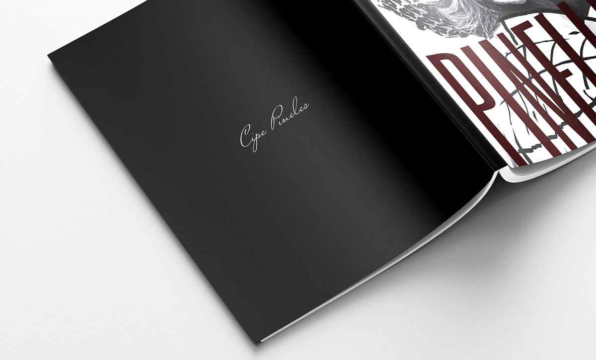 Back cover of Cipe Pineles zine