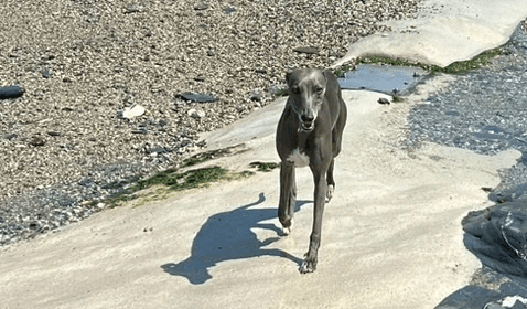 blue sky and white clouds over the sea