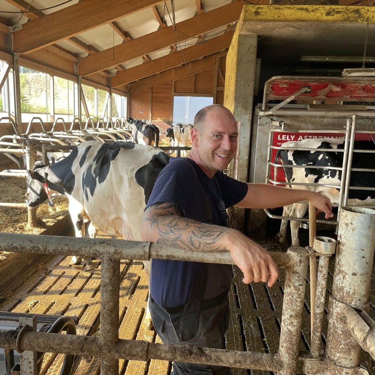 Direkter Kontakt zur Kuh bei Familie Fleig