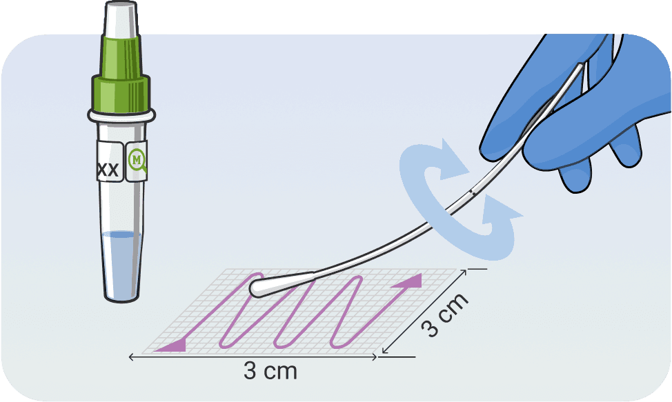 Swabbing a surface to collect a sample for mold testing