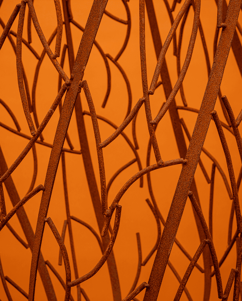 Warped and Twisted by Pat Flanagan