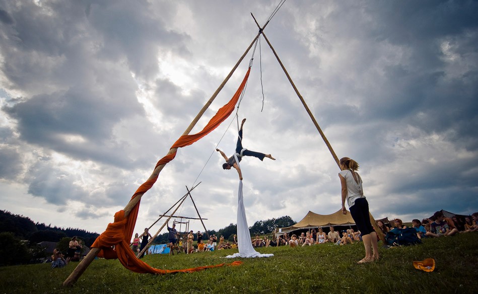 Close-up of lush, dark green leaves, some glossy and wet, against a muted background.