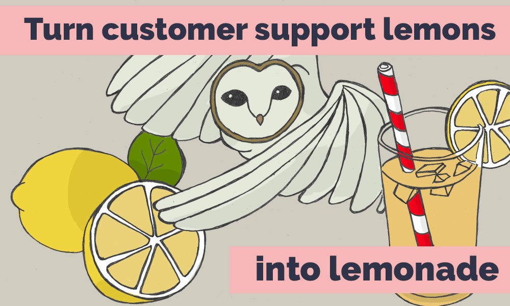 Illustration of an owl with lemons and lemonade