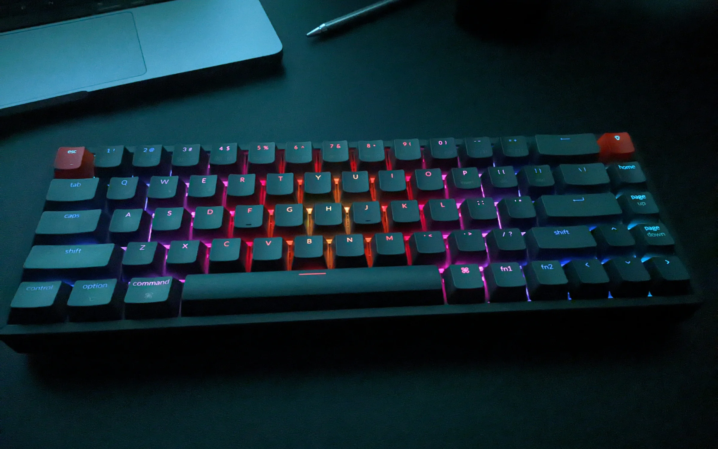 Gaming Studios industry: digital products by Alpha Expansion