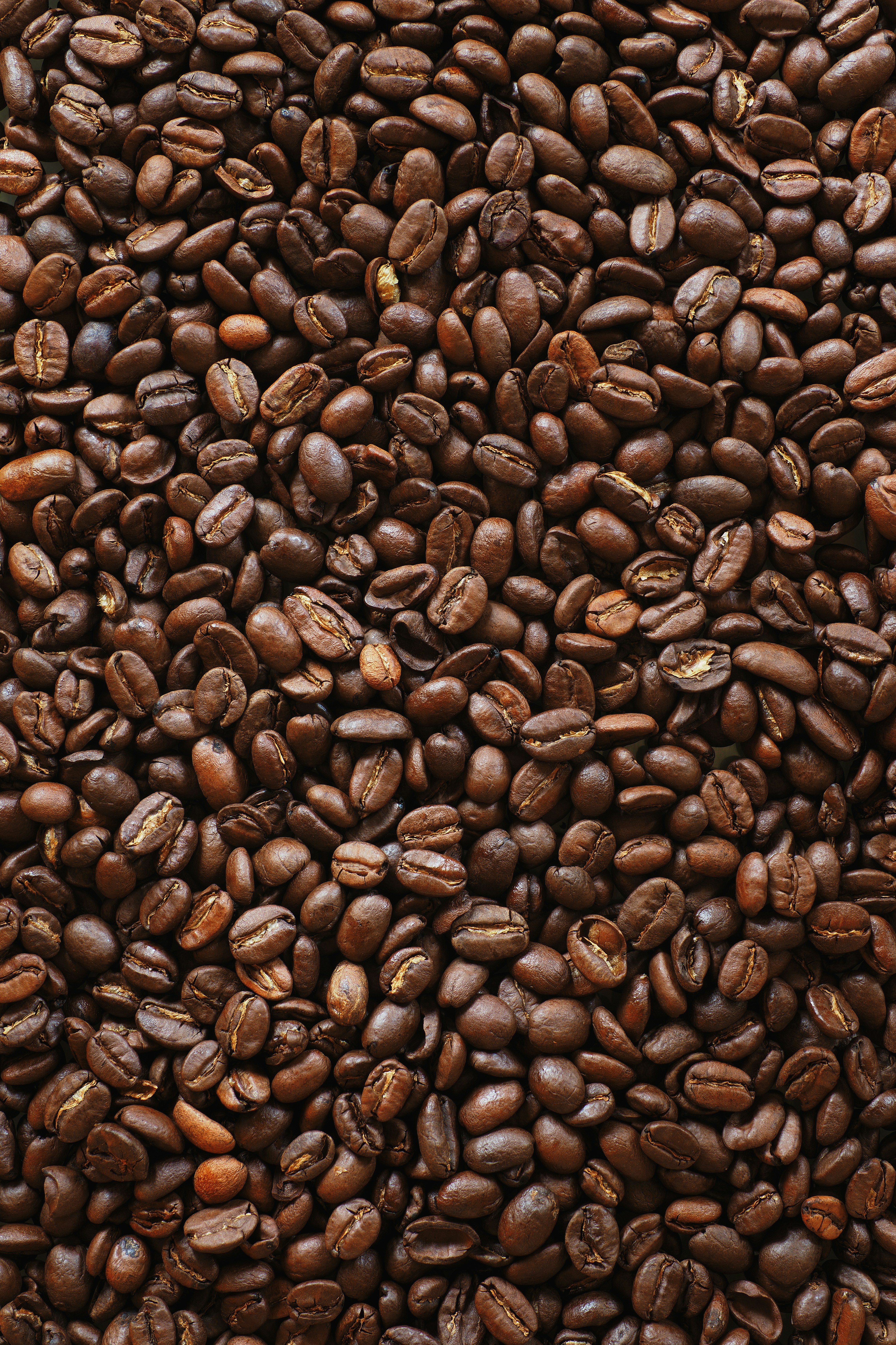 Coffee beans
