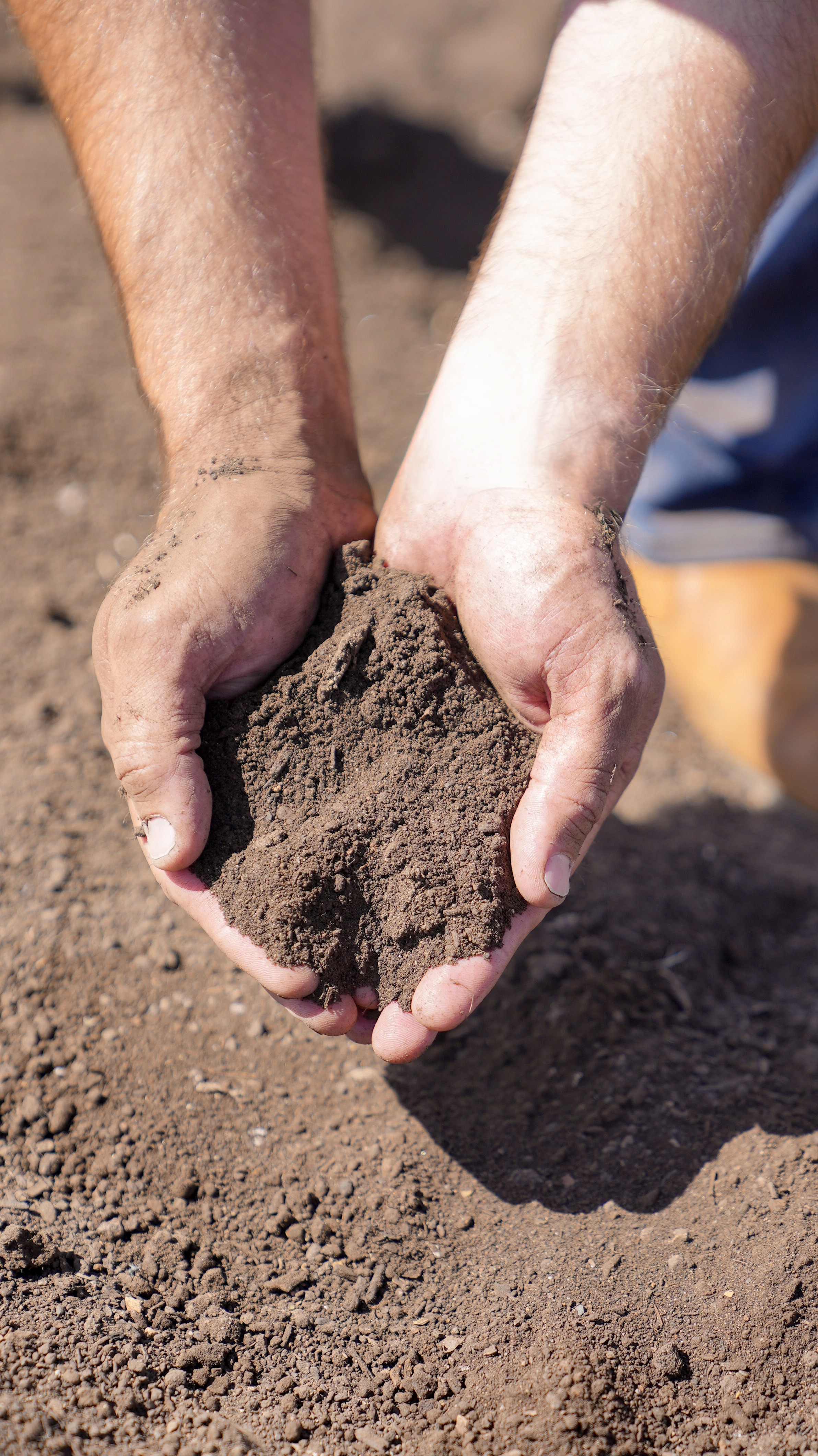 Topsoil Organics' Drought Buster soil conditioner