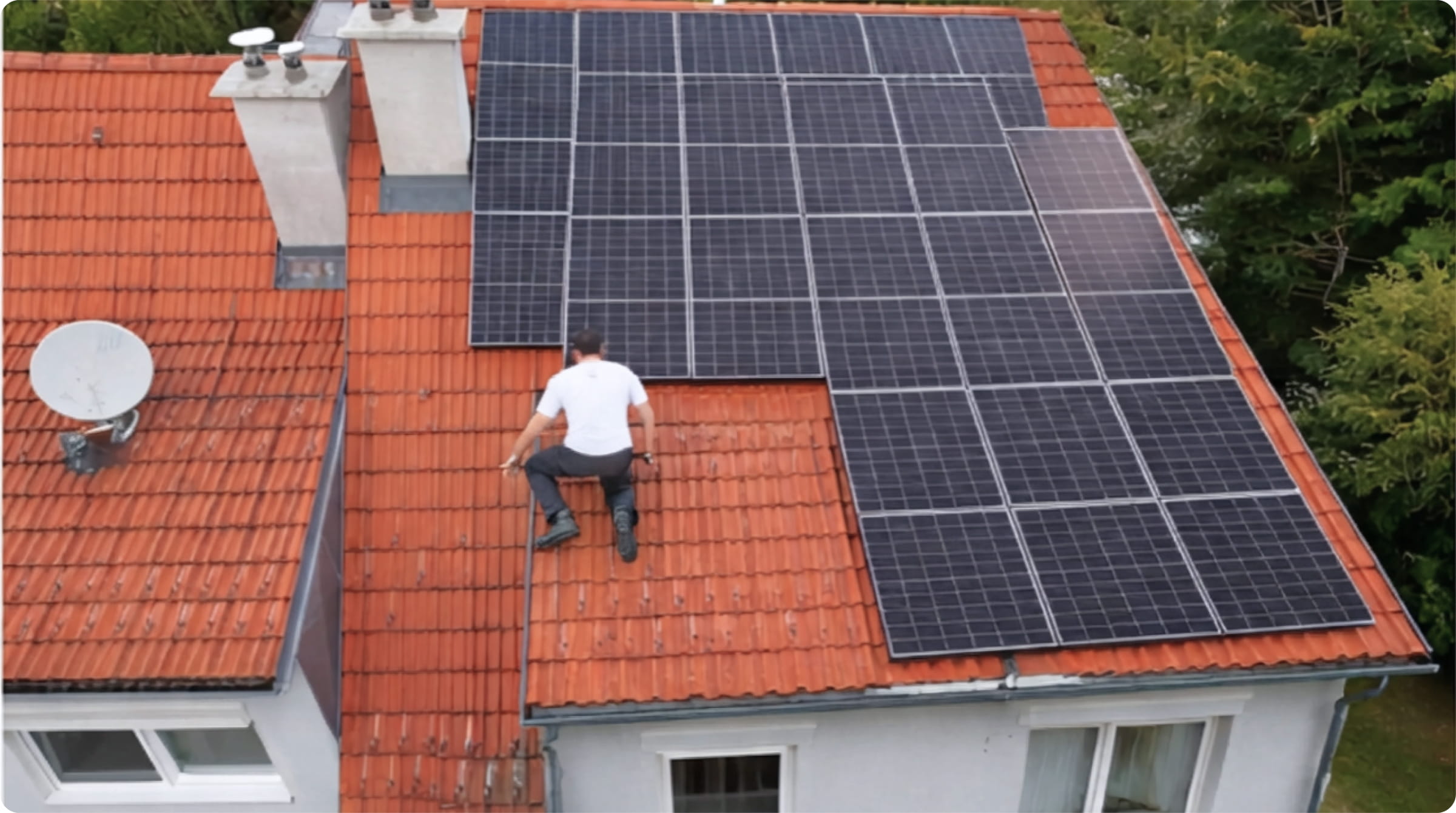 Mold inspector with clients