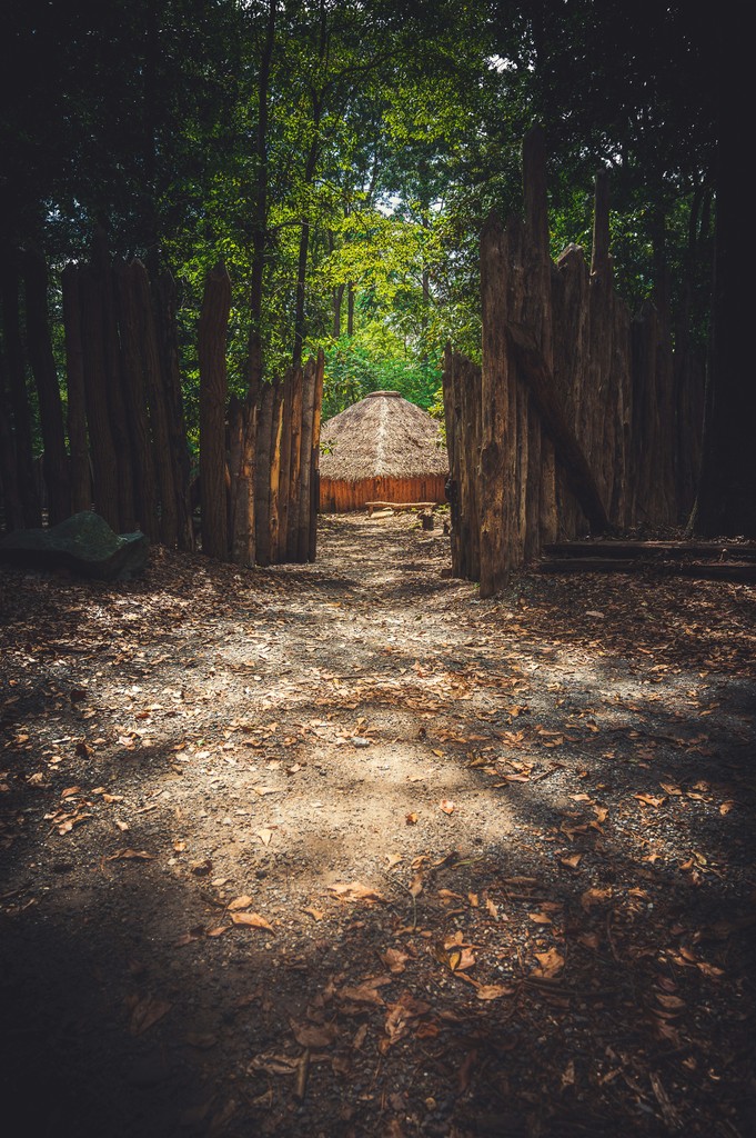 a path with a hut on the side and trees on the side