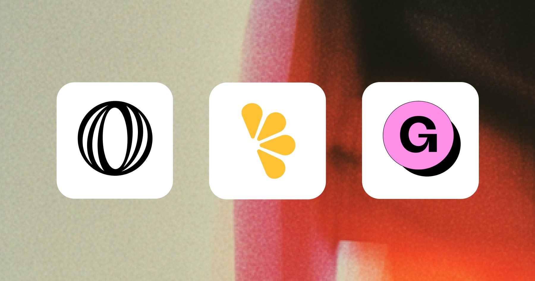 Framer vs WordPress from a Designer's Perspective