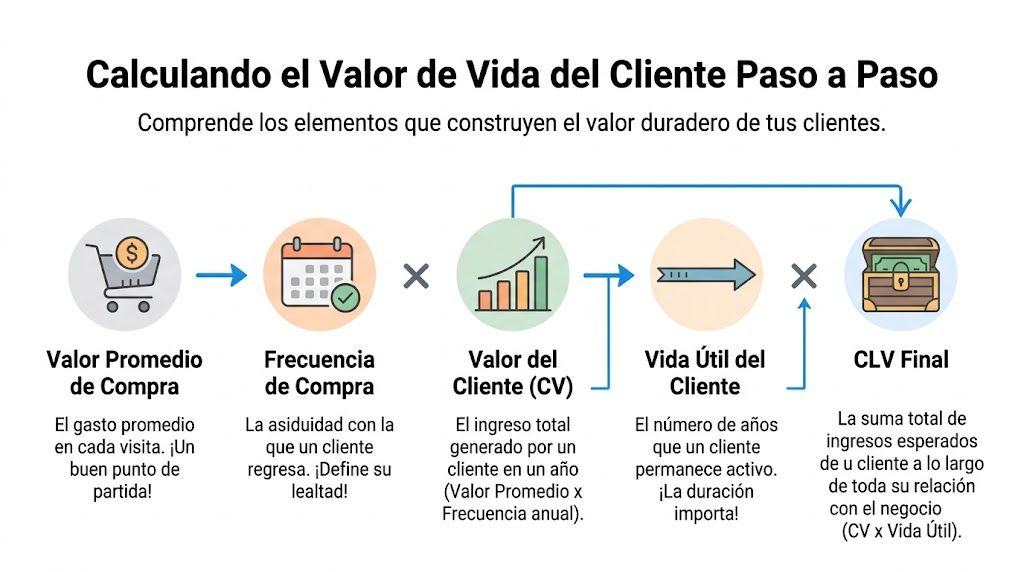 Infografía paso a paso que explica cómo calcular el valor de vida del cliente de una empresa.
