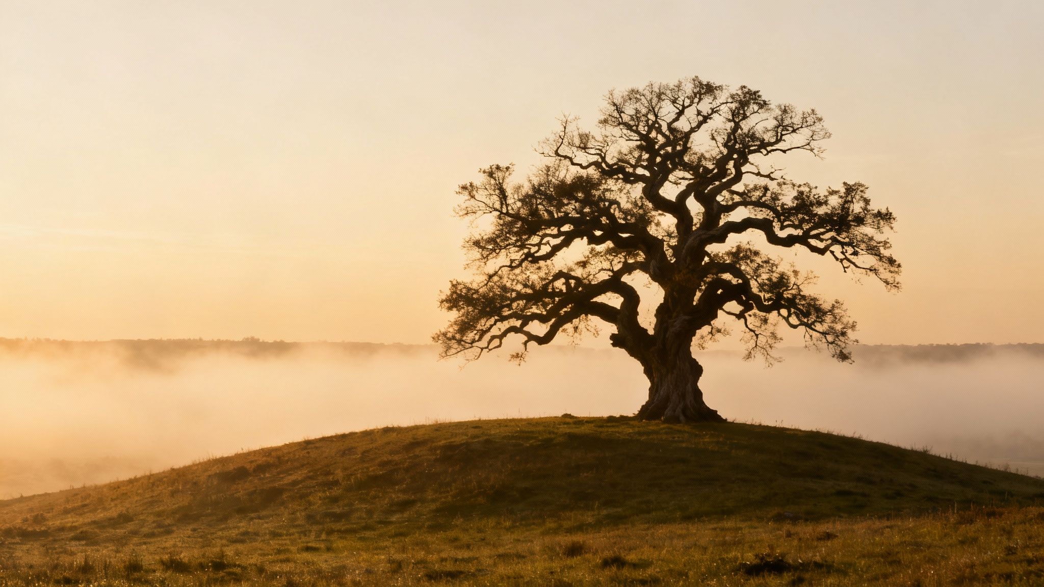 Mental Health & Internal Struggles