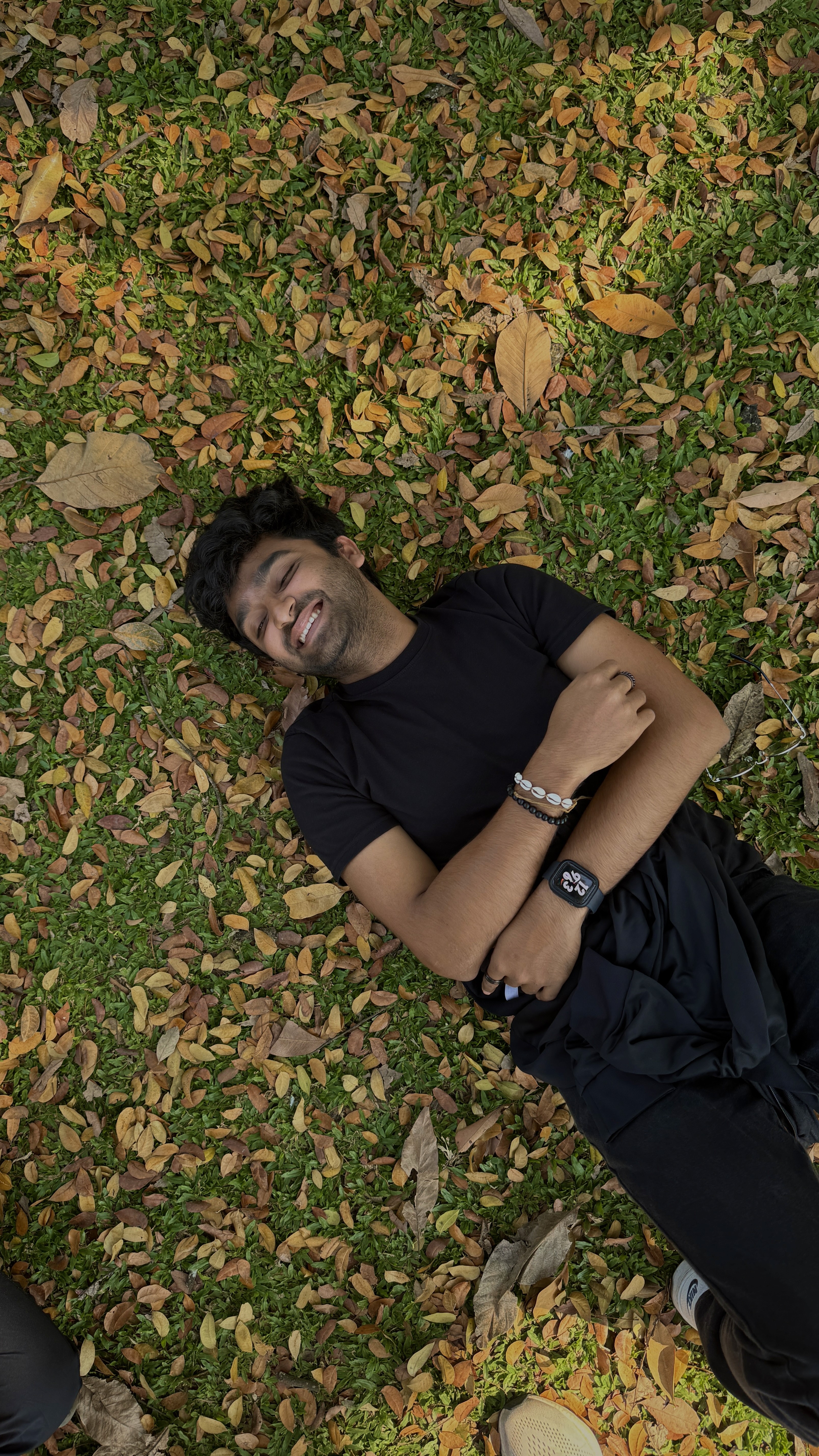 picture of plants and greenery