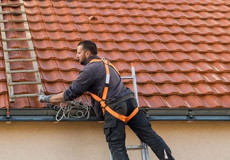 A serene outdoor lounge area with two chairs surrounded by lush greenery and natural light streaming in.
