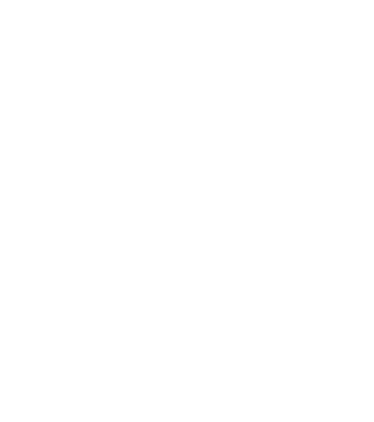 Phoenix Elevate logo