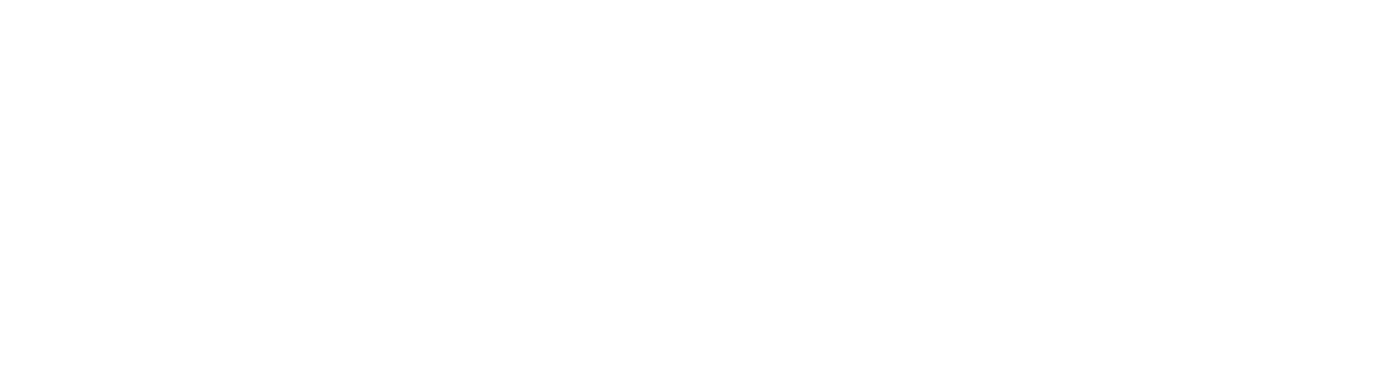 Perform Template Logo