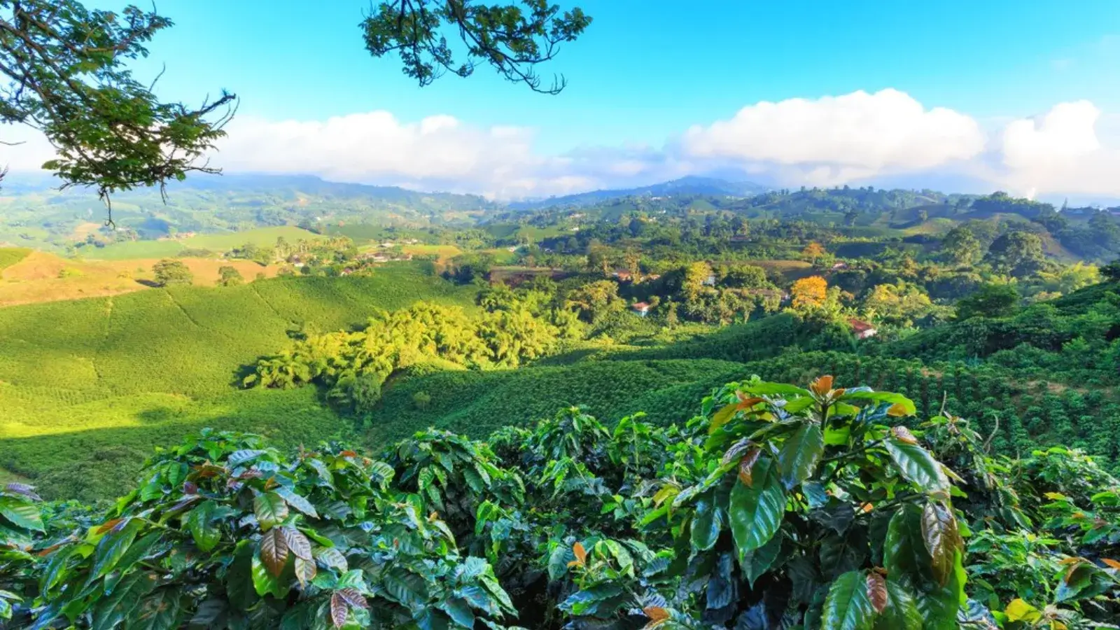 Colombia 7 day itinerary