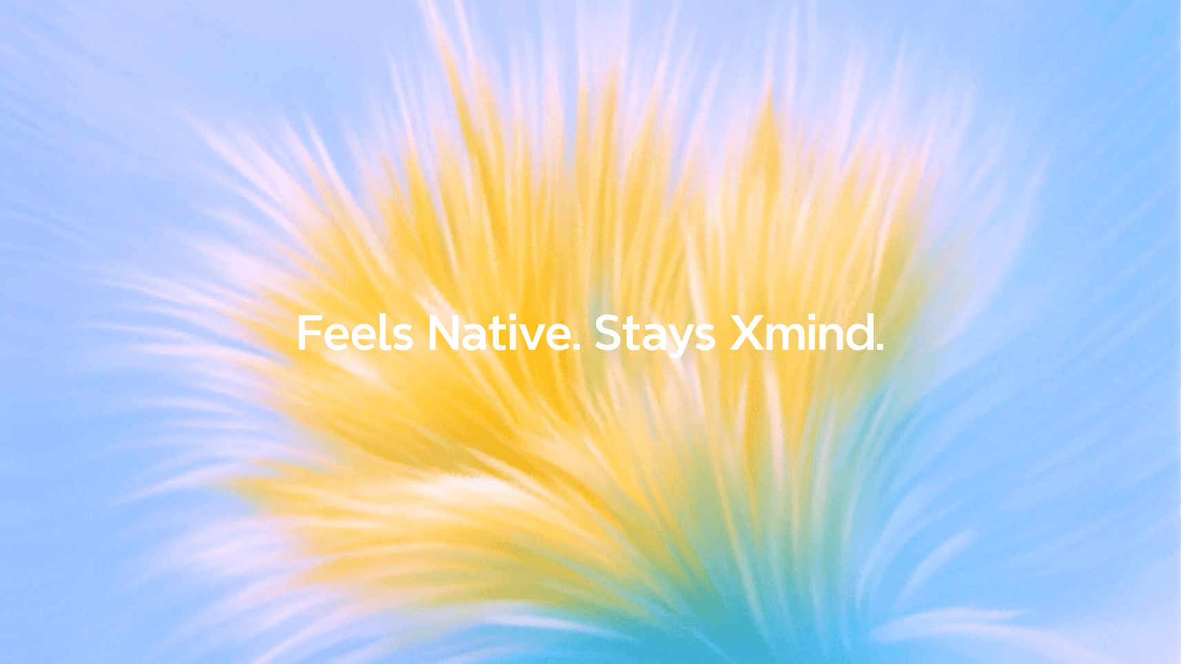 Feels native, stays Xmind.