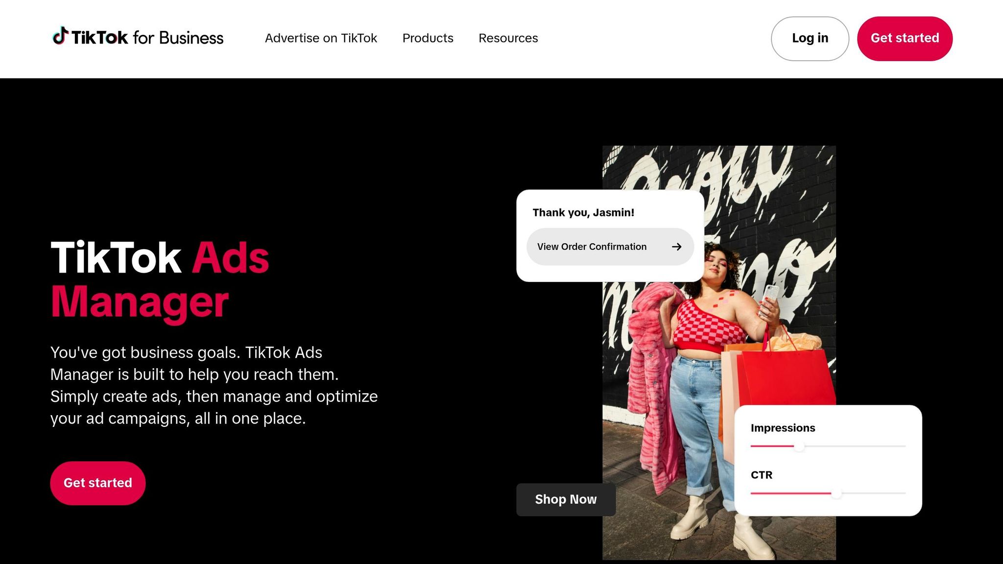 TikTok Ads Manager