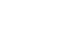The Toronto International Film Festival logo.