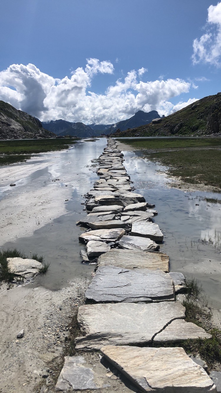 Rock path showing the way