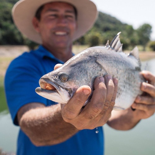 一名穿着蓝色衬衫和帽子的男子在水边拿着一条鱼,微笑着。背景中可以看到树木。