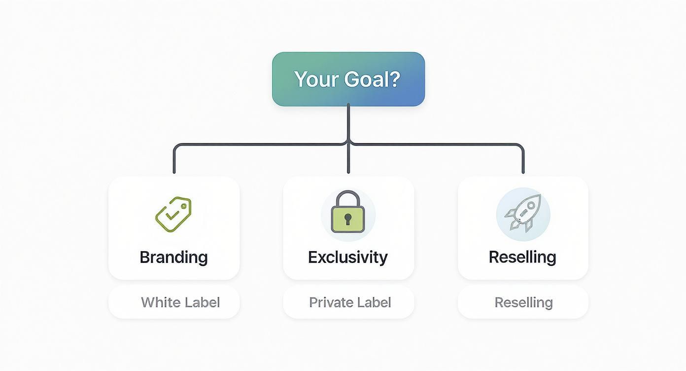 A flowchart showing business goals: Branding (White Label), Exclusivity (Private Label), Reselling.