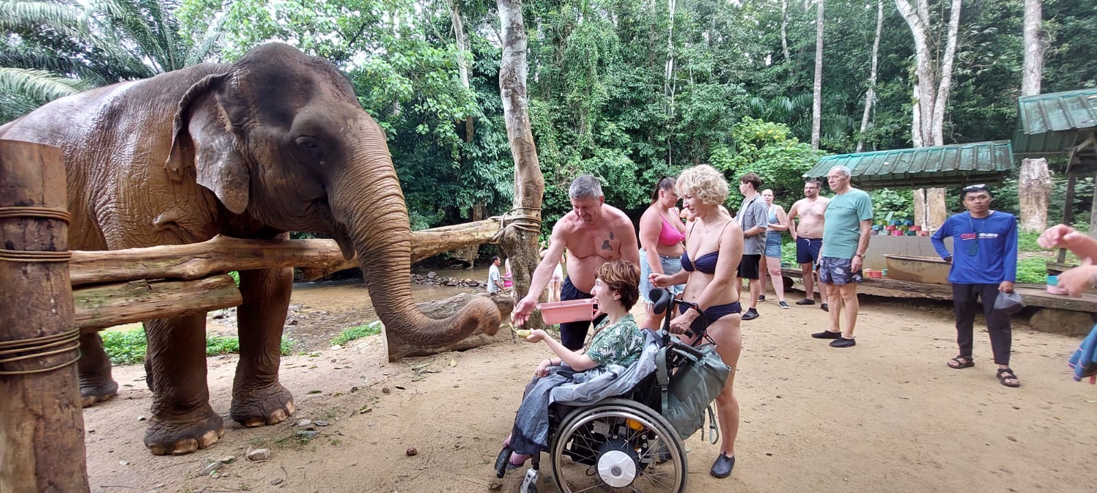 brown starfish on blue sand