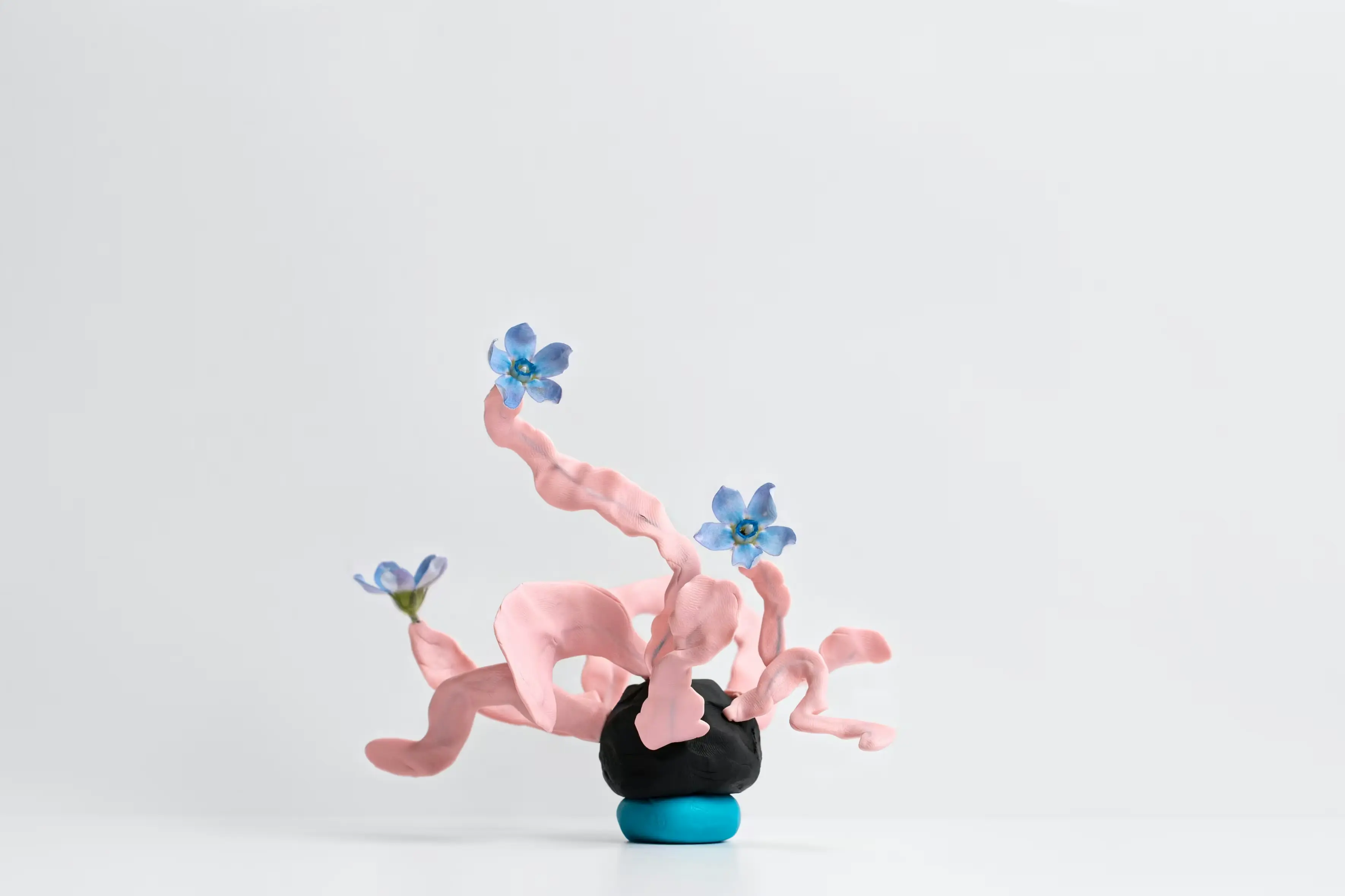 Ser Amics project in Lineup Studio Framer Template 04