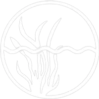 Gaia.eco Illuminum logo: stylized plants and water in a circular design.