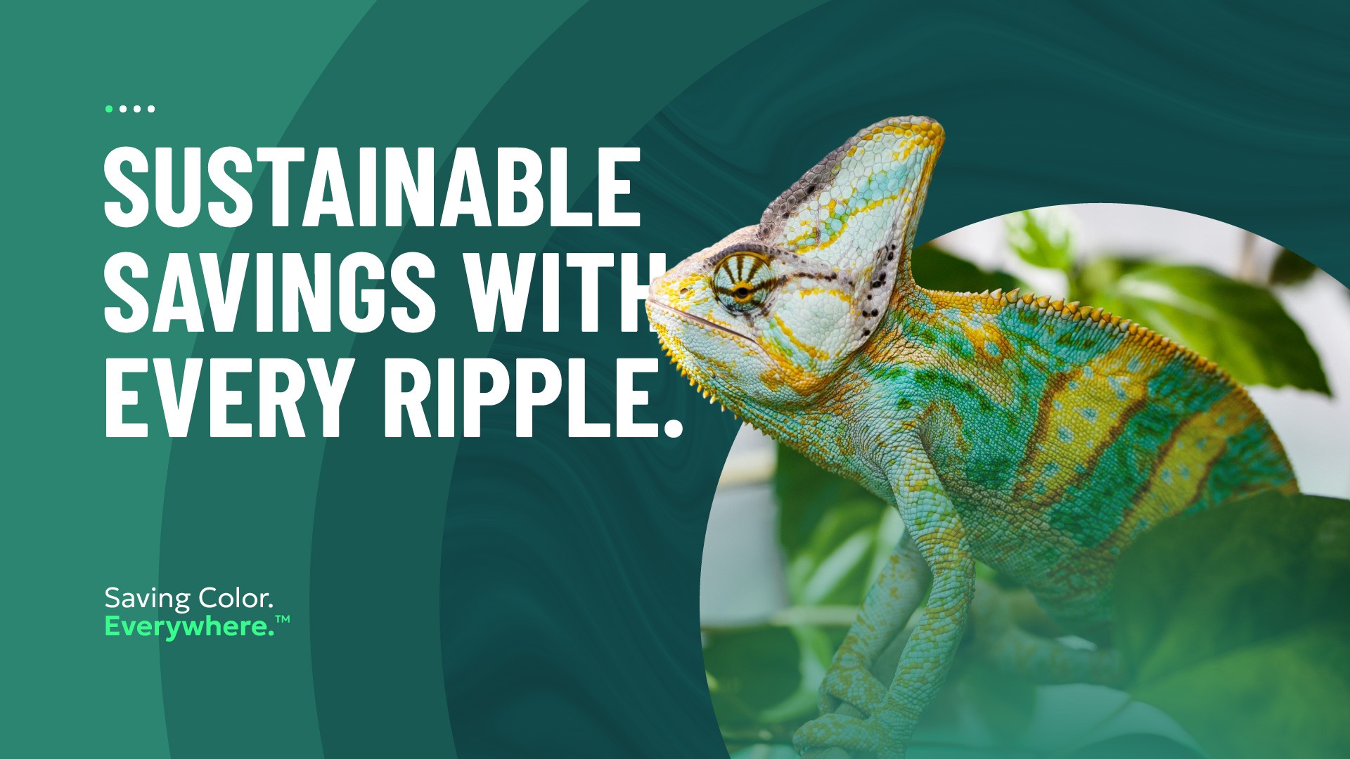 Riverdale Global sustainable savings