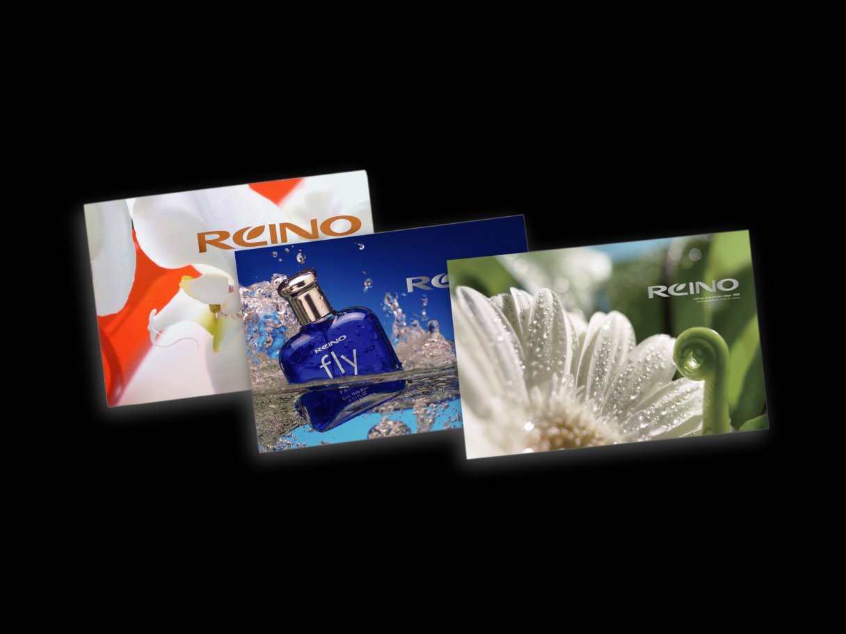 Rooftops of a coastal town with the sea in background