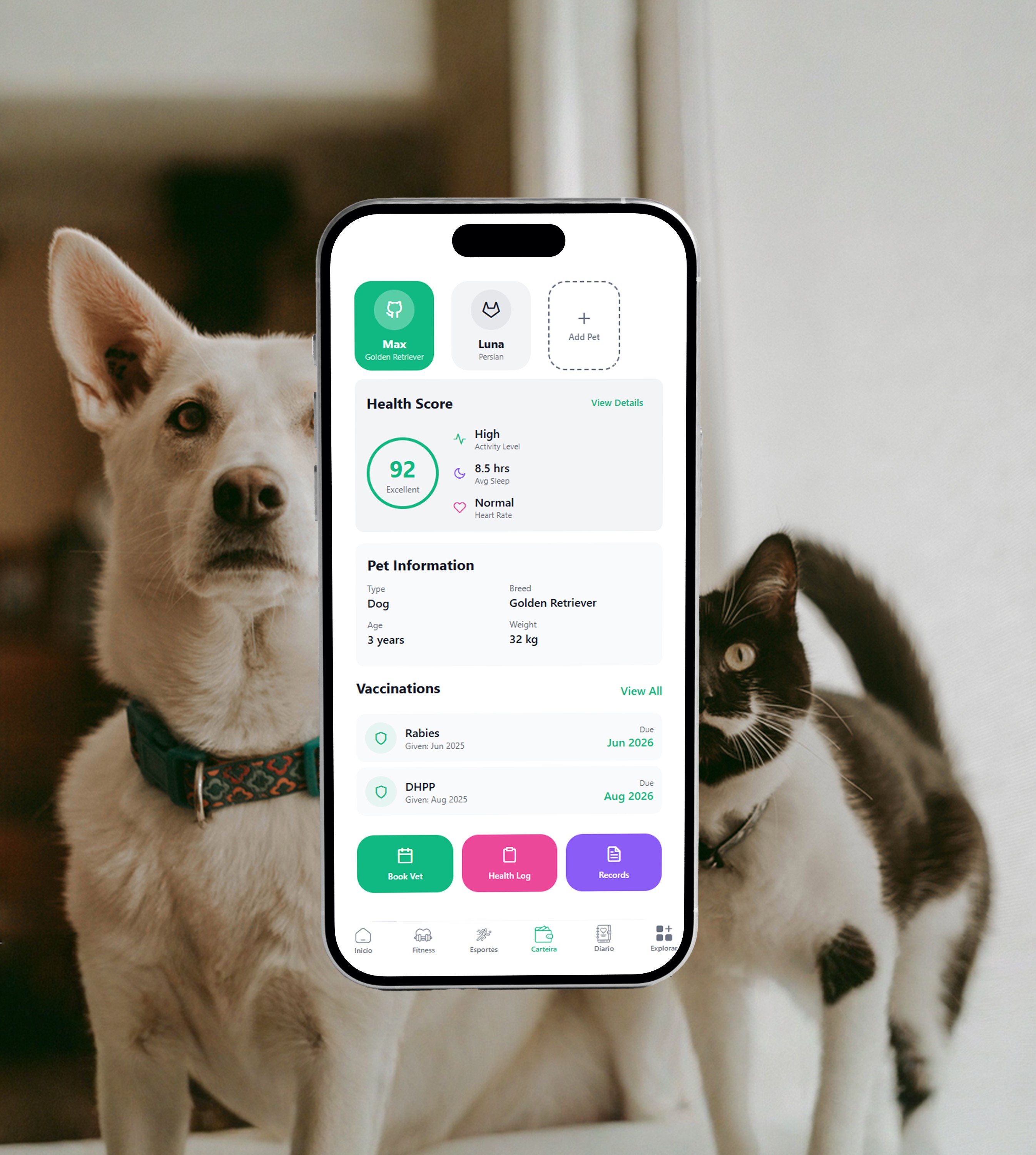 two dogs playing with a tennis ball in the grass