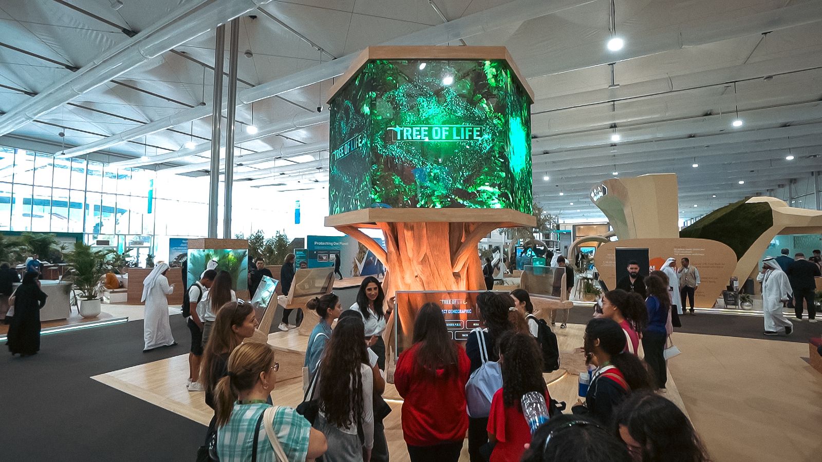 tree-of-life-interactive-media-display-1