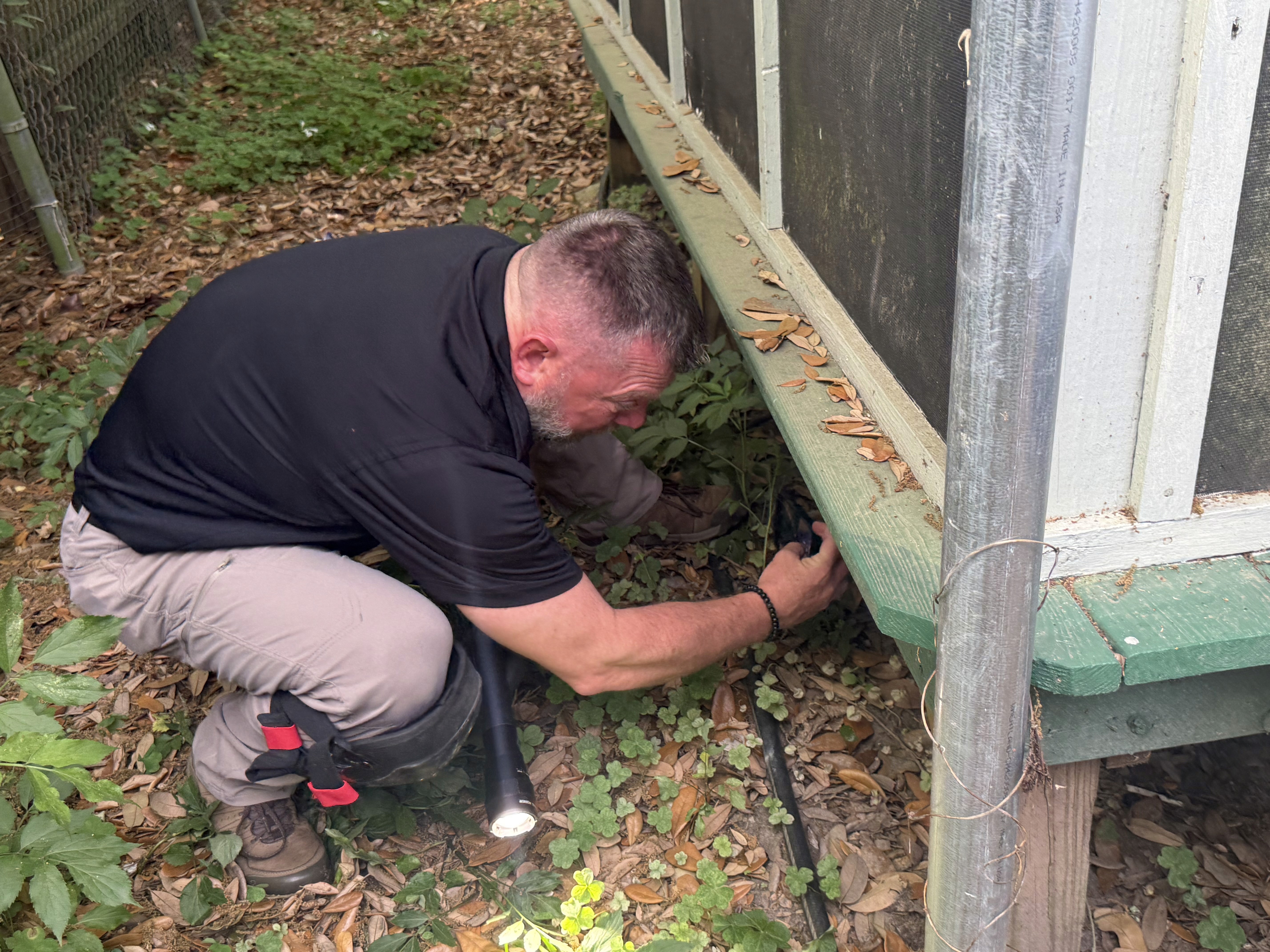 Covington home inspection exterior property check
