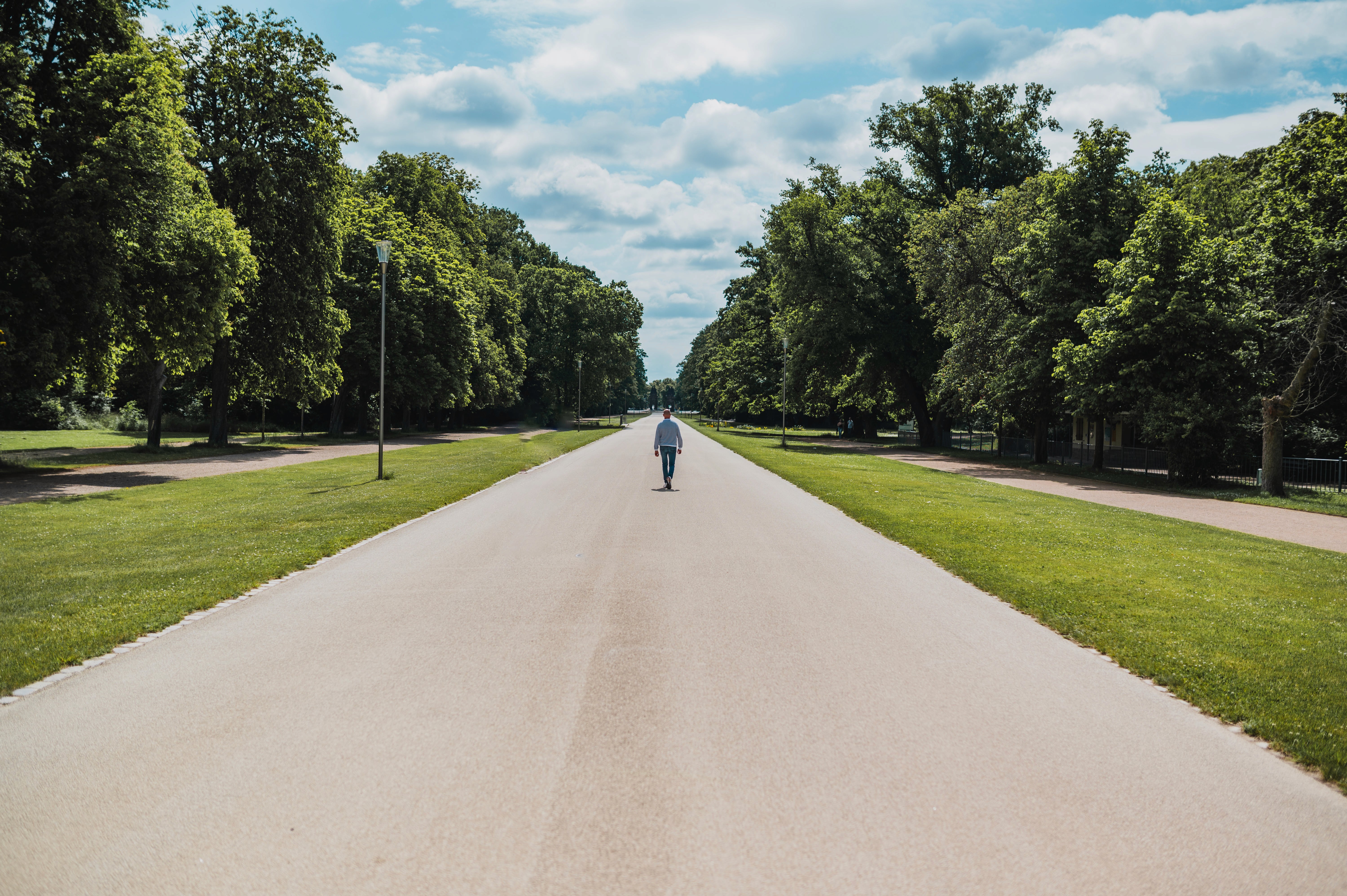 Sven Eichner läuft eine endlose Baumalee entlang