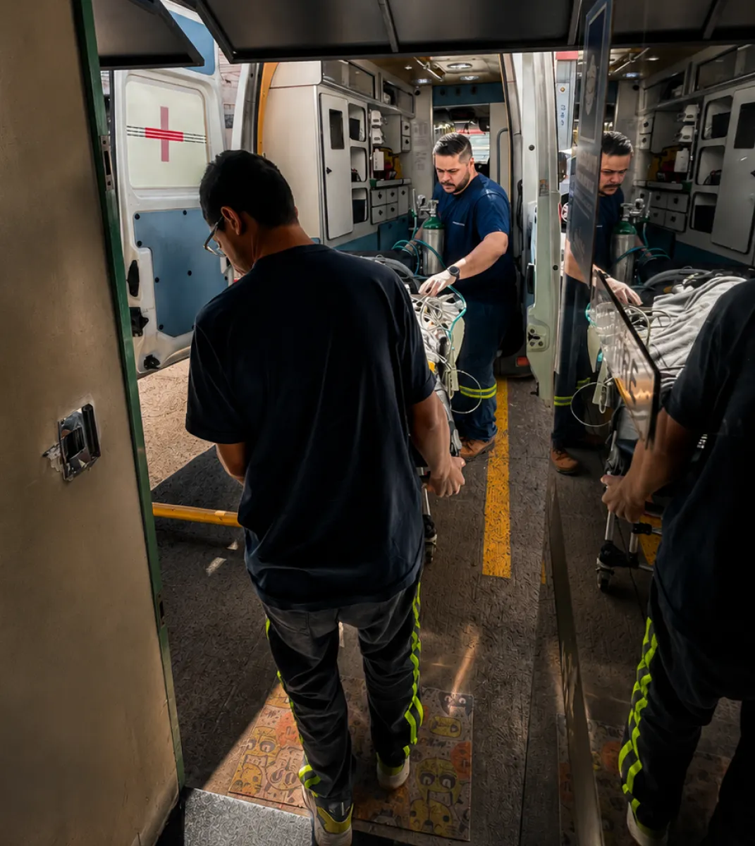 Transporte ambulancia veteinária